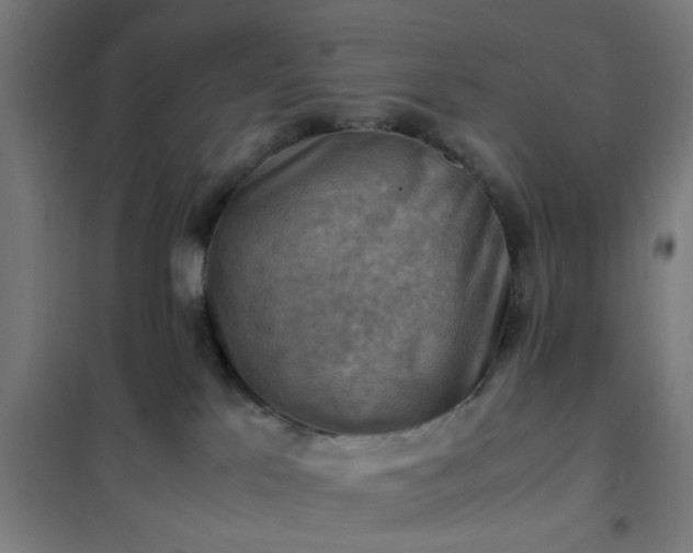 X0000102010041200807251319
