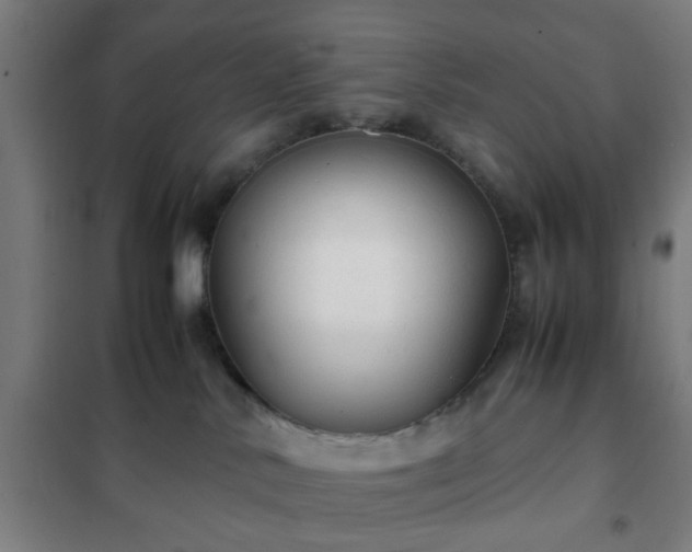 X0000102010042200807251319