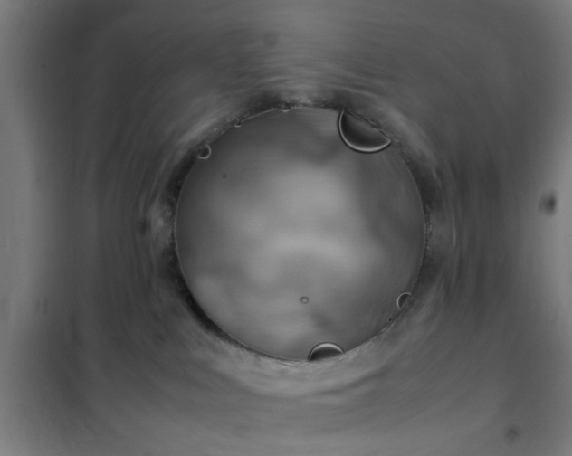 X0000102010043200807251319