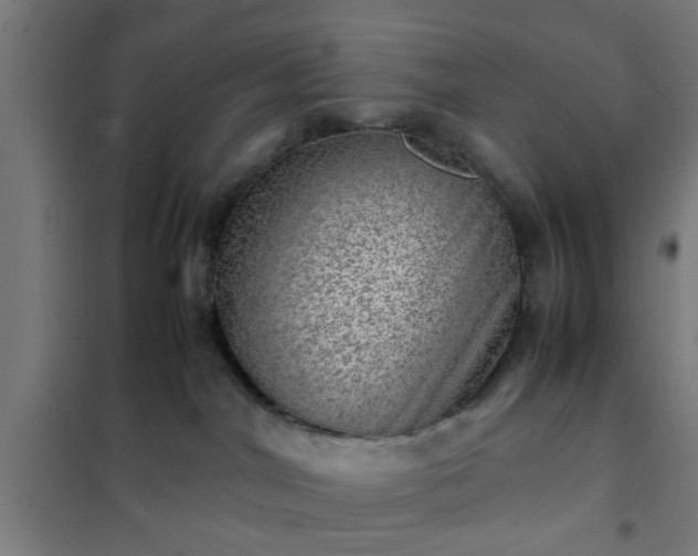X0000102010044200807251319