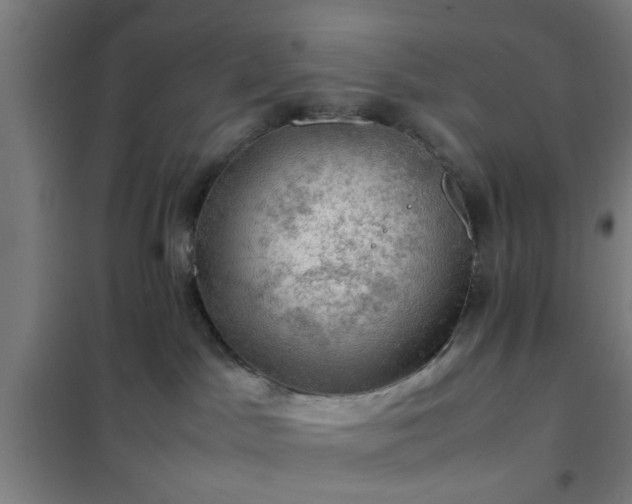 X0000102010045200807251319
