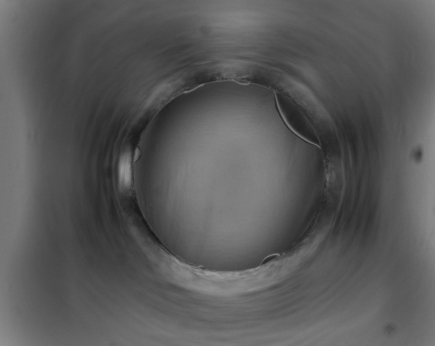 X0000102010046200807251319