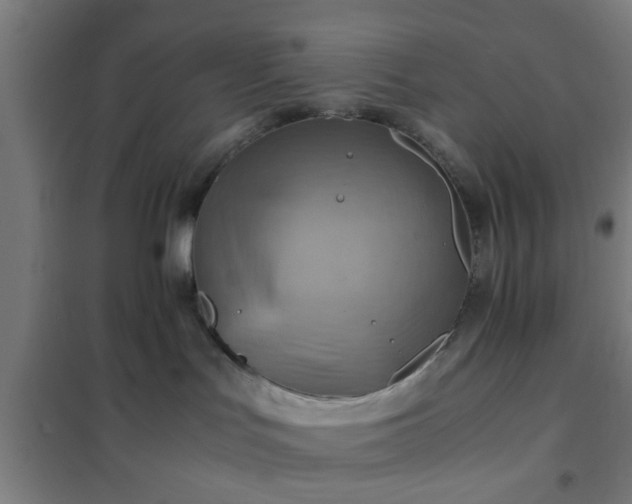 X0000102010047200807251319