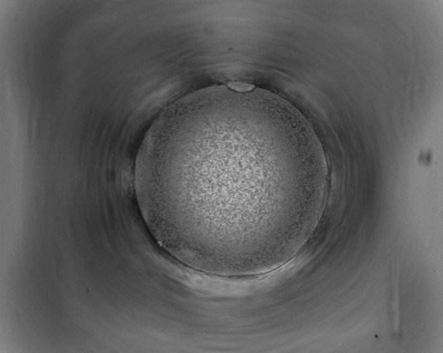 X0000102010048200807251318