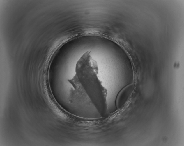 X0000102010049200807251318