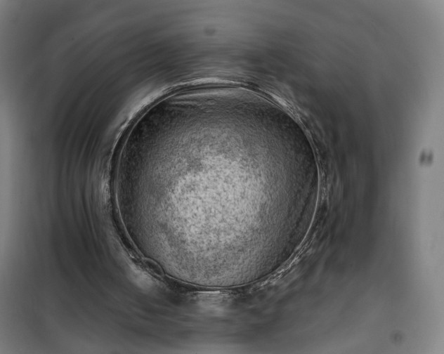 X0000102010050200807251318