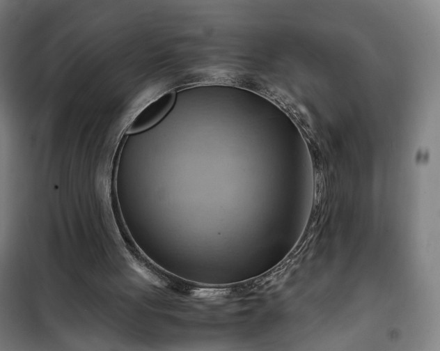 X0000102010051200807251318