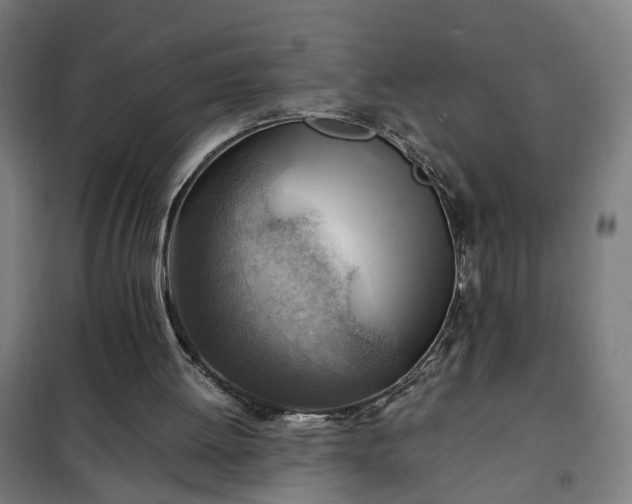 X0000102010052200807251318
