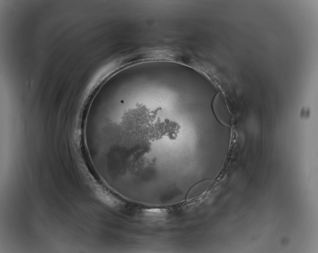 X0000102010053200807251318