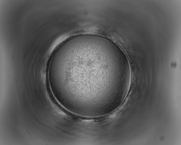 X0000102010054200807251318