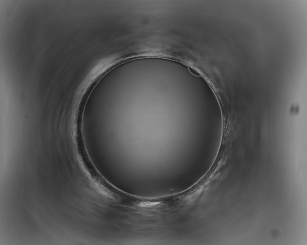 X0000102010055200807251318