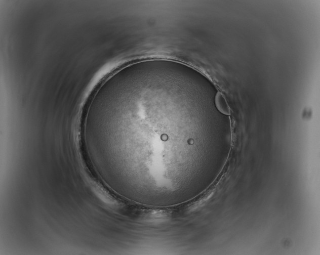 X0000102010056200807251318