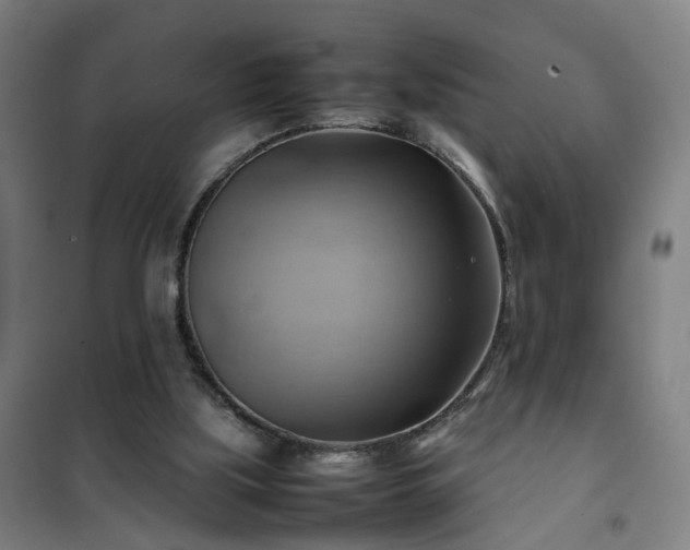 X0000102010059200807251318