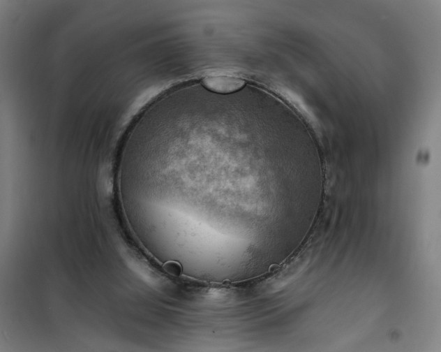 X0000102010060200807251318