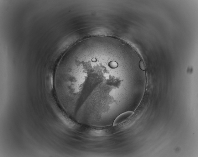 X0000102010061200807251318