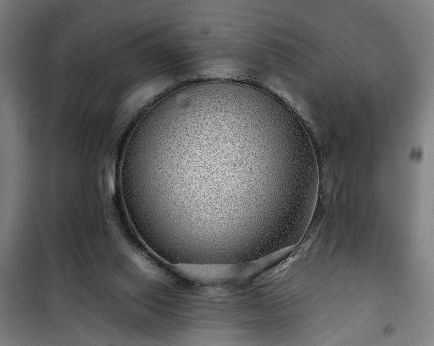 X0000102010062200807251318