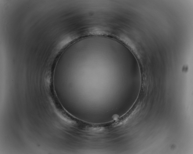 X0000102010063200807251318
