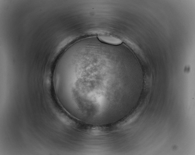 X0000102010064200807251318