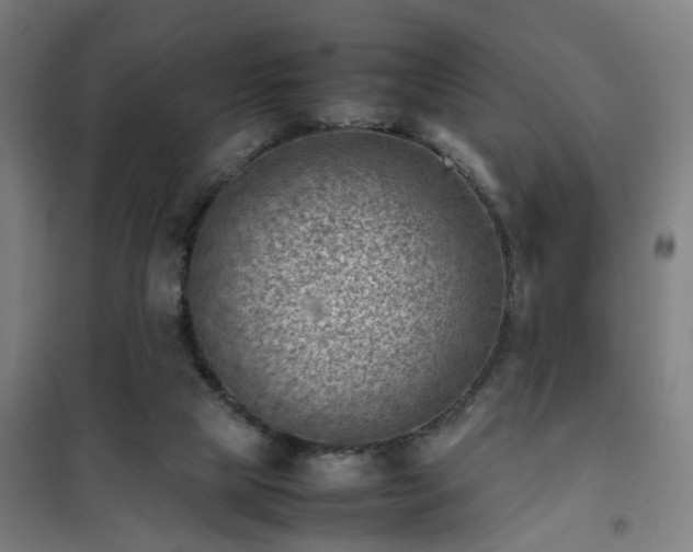 X0000102010065200807251318