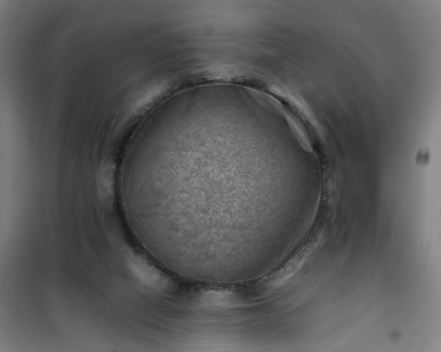 X0000102010066200807251318