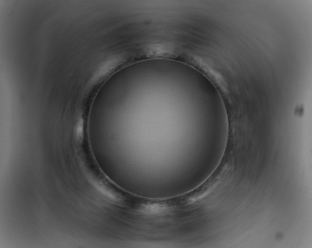 X0000102010067200807251318