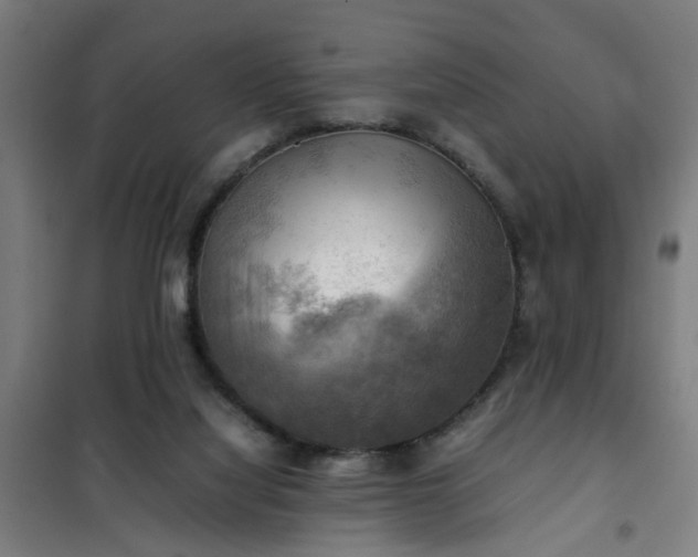 X0000102010068200807251318