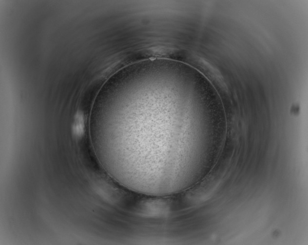 X0000102010075200807251318