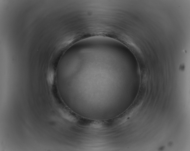 X0000102010076200807251318