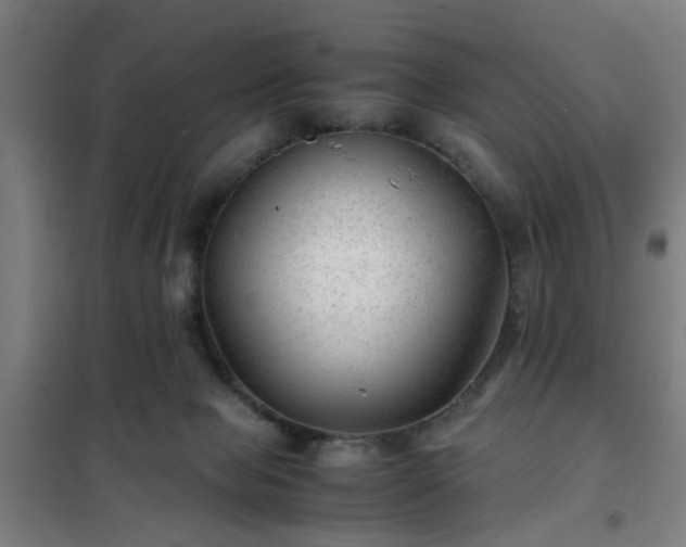 X0000102010077200807251318