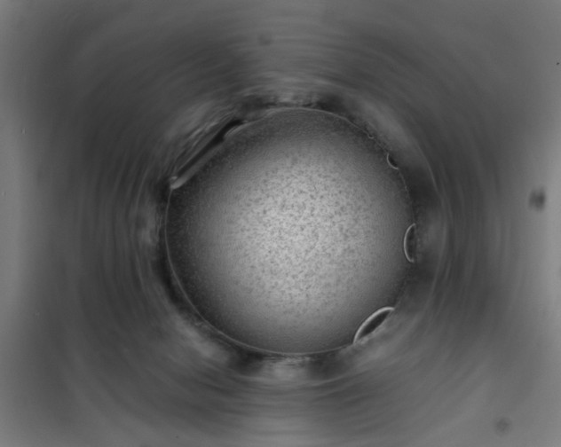 X0000102010078200807251318