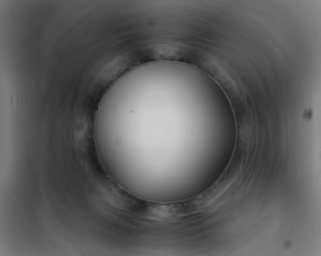 X0000102010079200807251318