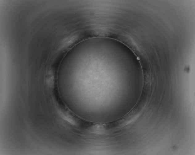 X0000102010080200807251318