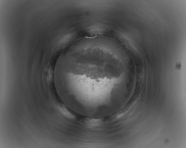 X0000102010081200807251318