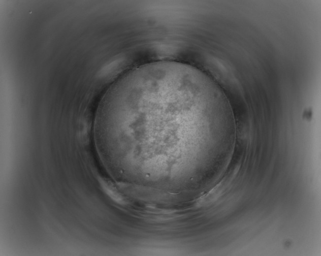 X0000102010082200807251318