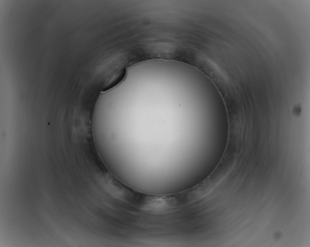 X0000102010083200807251318