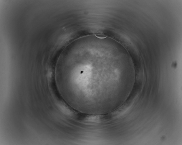 X0000102010084200807251318