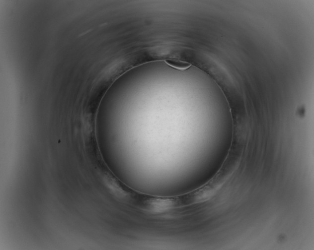 X0000102010085200807251318