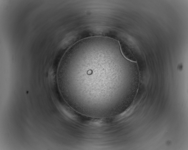 X0000102010086200807251318