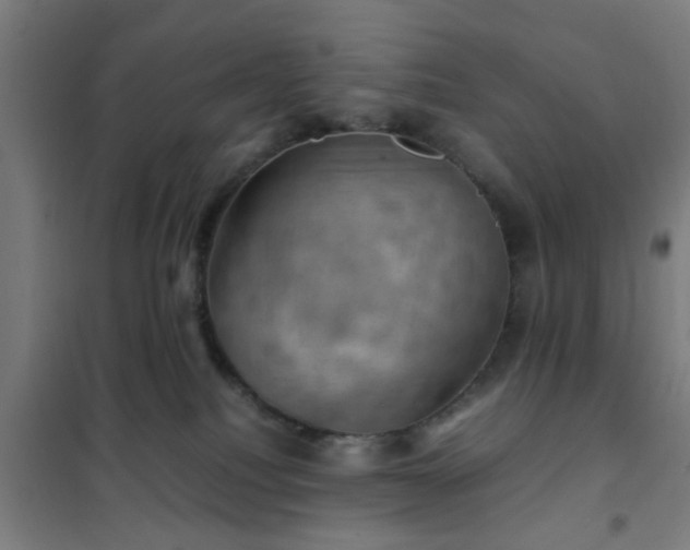 X0000102010088200807251318