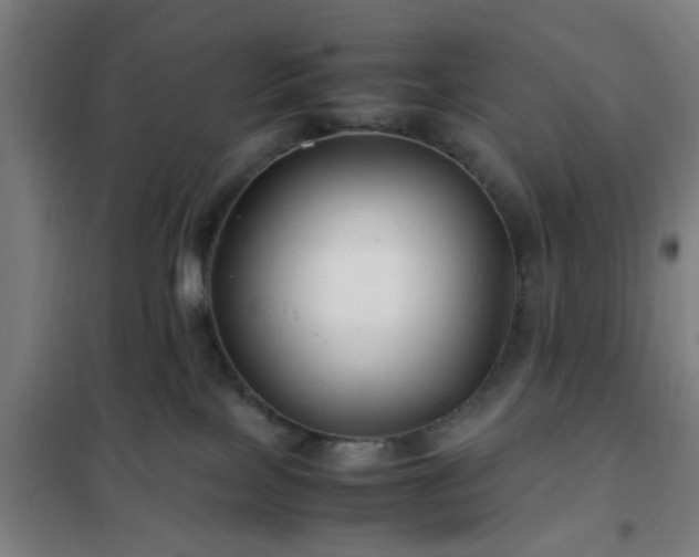 X0000102010089200807251318
