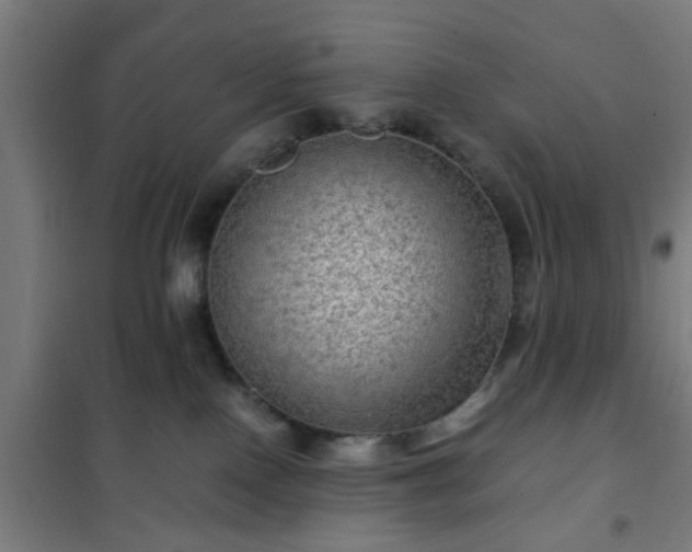 X0000102010090200807251318