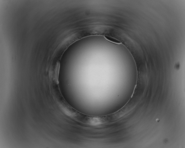 X0000102010091200807251318