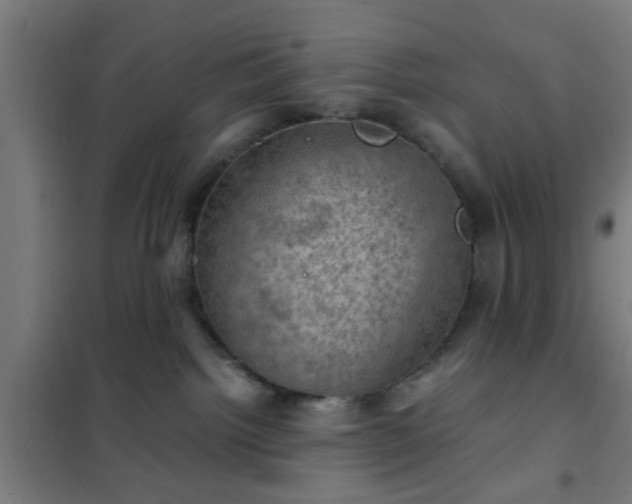 X0000102010092200807251318