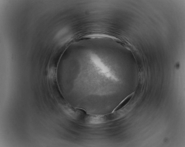 X0000102010093200807251318