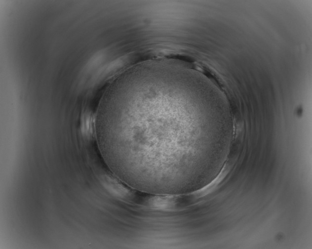 X0000102010094200807251318