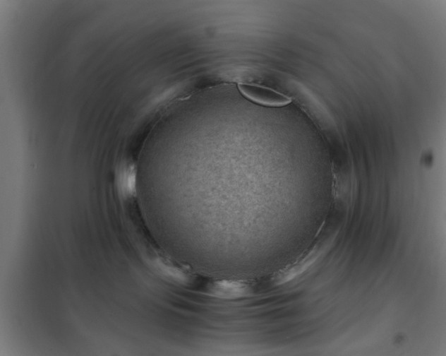 X0000102010095200807251318