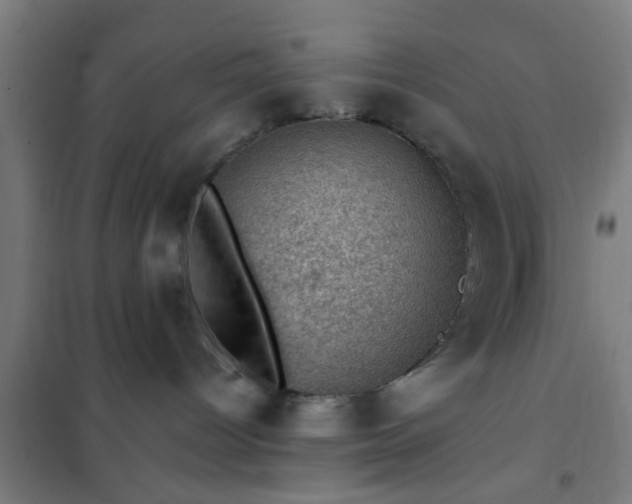 X0000102010096200807251318