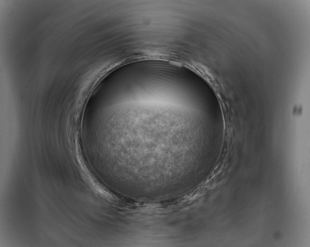X0000102010097200807251318