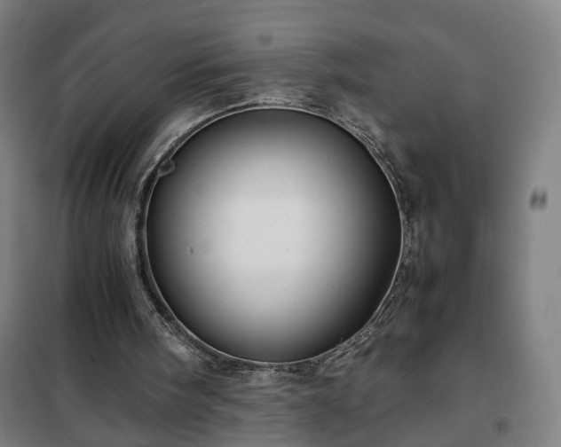 X0000102010098200807251318