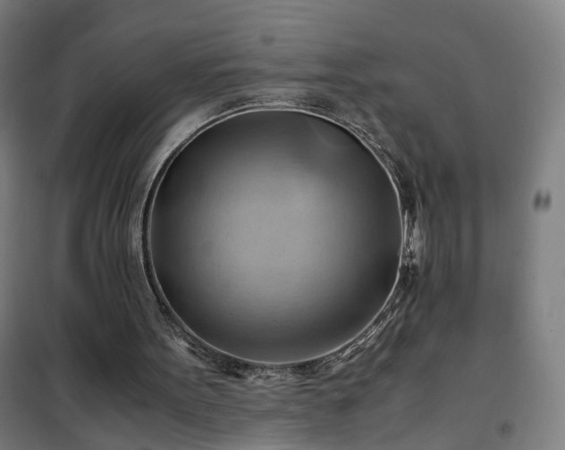 X0000102010099200807251318